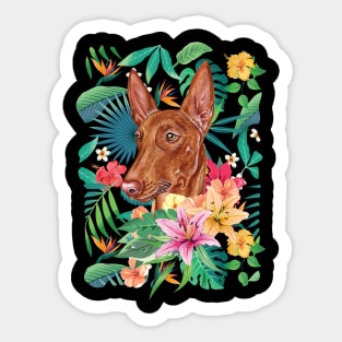 Tropical Pharaoh Hound Sticker